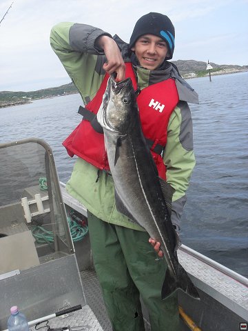 img00015.jpg