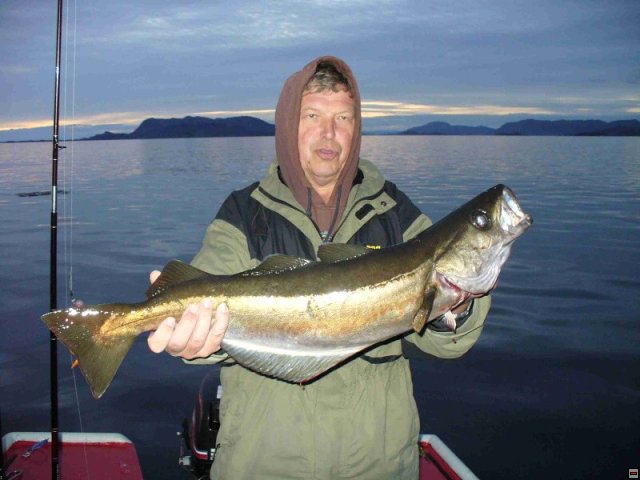 img00018.jpg