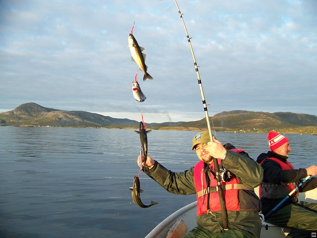 img00025.jpg