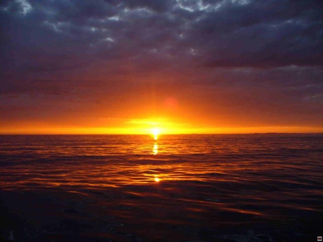 img00035.jpg