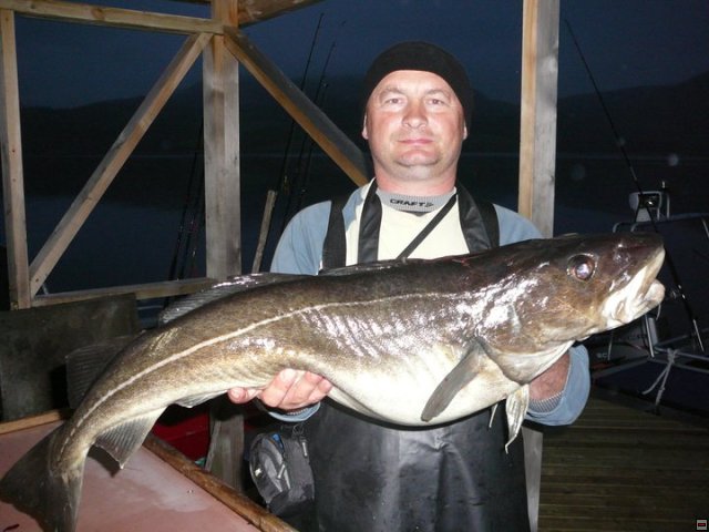 img00018.jpg