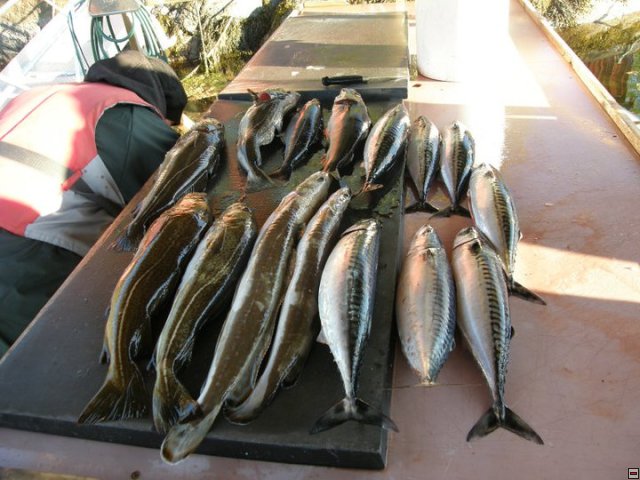 img00019.jpg