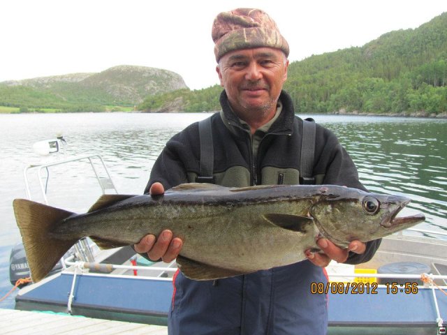 img00039.jpg