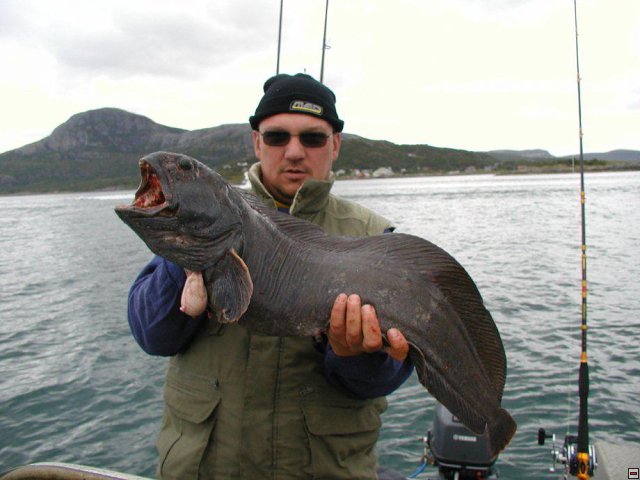 img00060.jpg